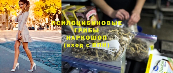 spice Дмитров