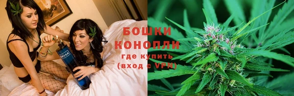 ешки Дмитровск